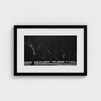 Acacia Trees of Deadvlei Art Print / Canvas Skeletal, Namib-naukluft Park, Salt-white Clay Prints
