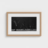 Acacia Trees of Deadvlei Art Print / Canvas Skeletal, Namib-naukluft Park, Salt-white Clay Prints