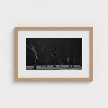 Acacia Trees of Deadvlei Art Print / Canvas Skeletal, Namib-naukluft Park, Salt-white Clay Prints