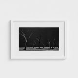 Acacia Trees of Deadvlei Art Print / Canvas Skeletal, Namib-naukluft Park, Salt-white Clay Prints