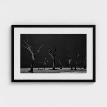 Acacia Trees of Deadvlei Art Print / Canvas Skeletal, Namib-naukluft Park, Salt-white Clay Prints