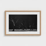 Acacia Trees of Deadvlei Art Print / Canvas Skeletal, Namib-naukluft Park, Salt-white Clay Prints