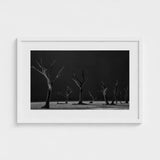 Acacia Trees of Deadvlei Art Print / Canvas Skeletal, Namib-naukluft Park, Salt-white Clay Prints
