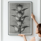 Acanthus Mollis (bear’s Breeches) - Karl Blossfeldt Art Print 24’’x32’’ Posters Prints & Visual Artwork