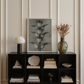 Acanthus Mollis (bear’s Breeches) - Karl Blossfeldt Art Print / Canvas, Karl Blossfeldt’s Acanthus, Blossfeldt’s Acanthus Mollis, Karl
