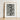 Framed Black White Botanical Illustration Spiky Plant Light Karl Blossfeldt’s Acanthus, Mollis, Blossfeldt Art