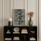 Acanthus Mollis (bear’s Breeches) - Karl Blossfeldt Art Print / Canvas Sleek Black Cube Unit Books Stones Decorative Items Karl