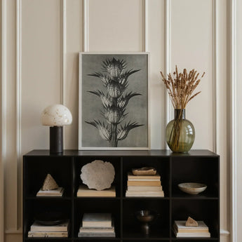 Acanthus Mollis (bear’s Breeches) - Karl Blossfeldt Art Print / Canvas Sleek Black Cube Unit Books Stones Decorative Items Karl