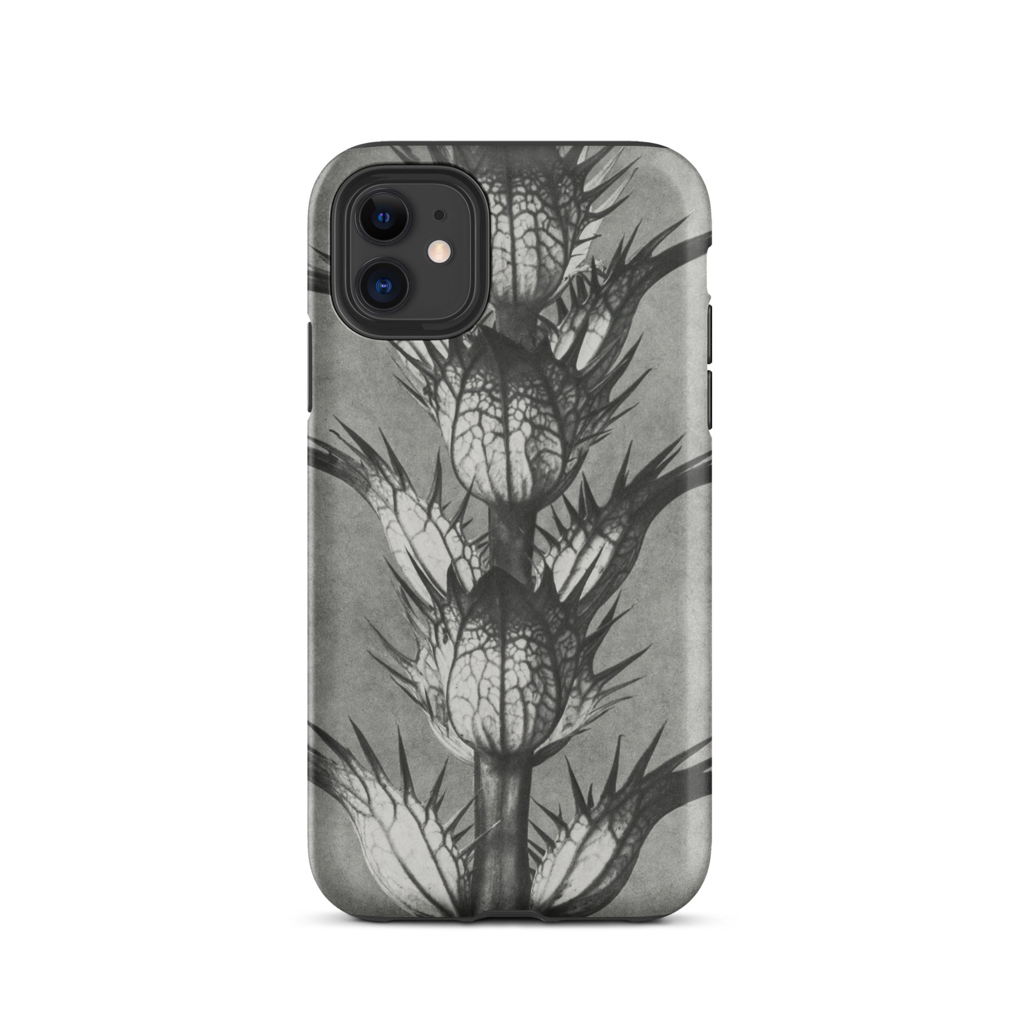 Acanthus Mollis (bear’s Breeches) Karl Blossfeldt Iphone Case, 11 / Matte, Gray Phone Case Thistle Design