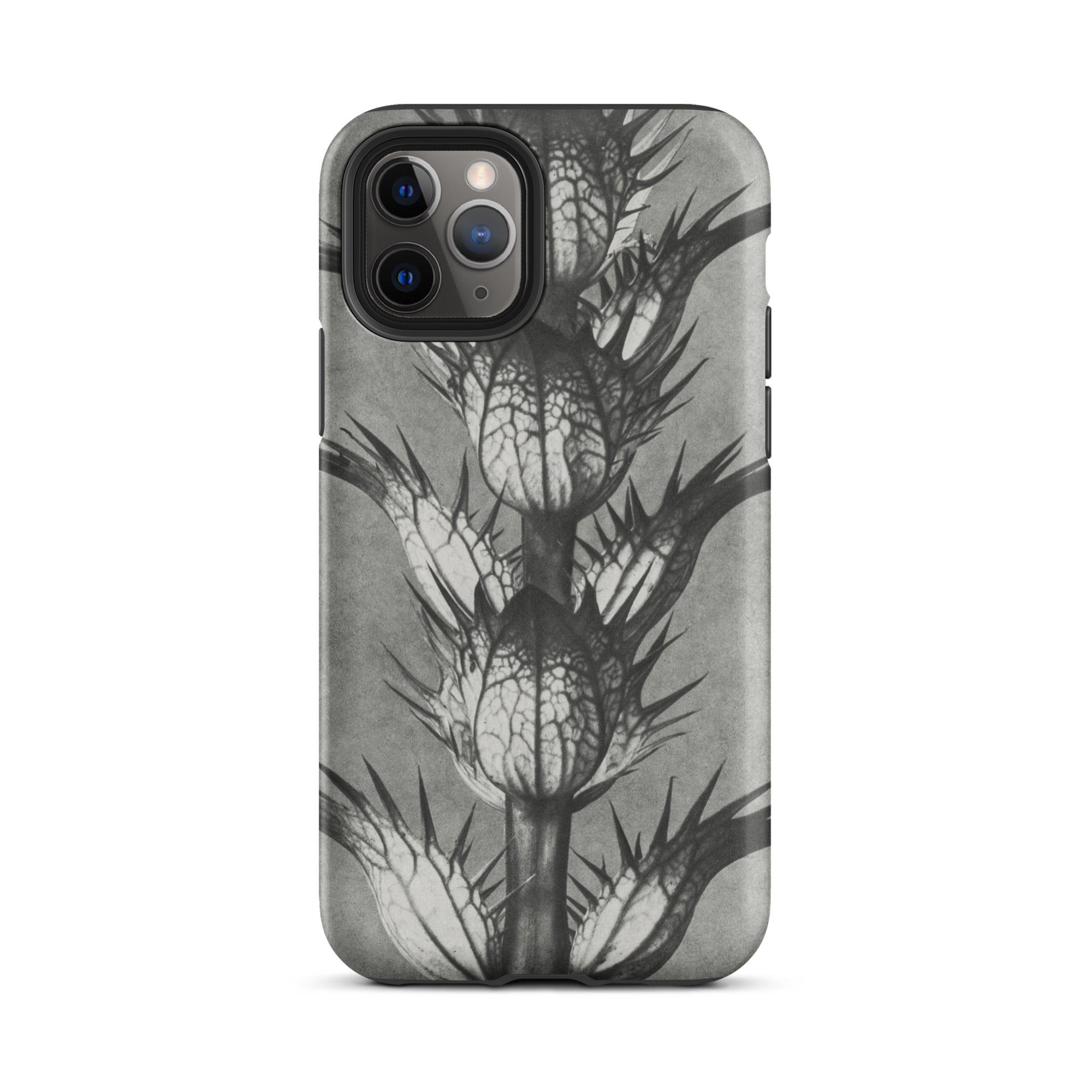 Acanthus Mollis (bear’s Breeches) Karl Blossfeldt Iphone Case, 11 Pro / Matte, Gray Iphone Case Thorny Plant Design