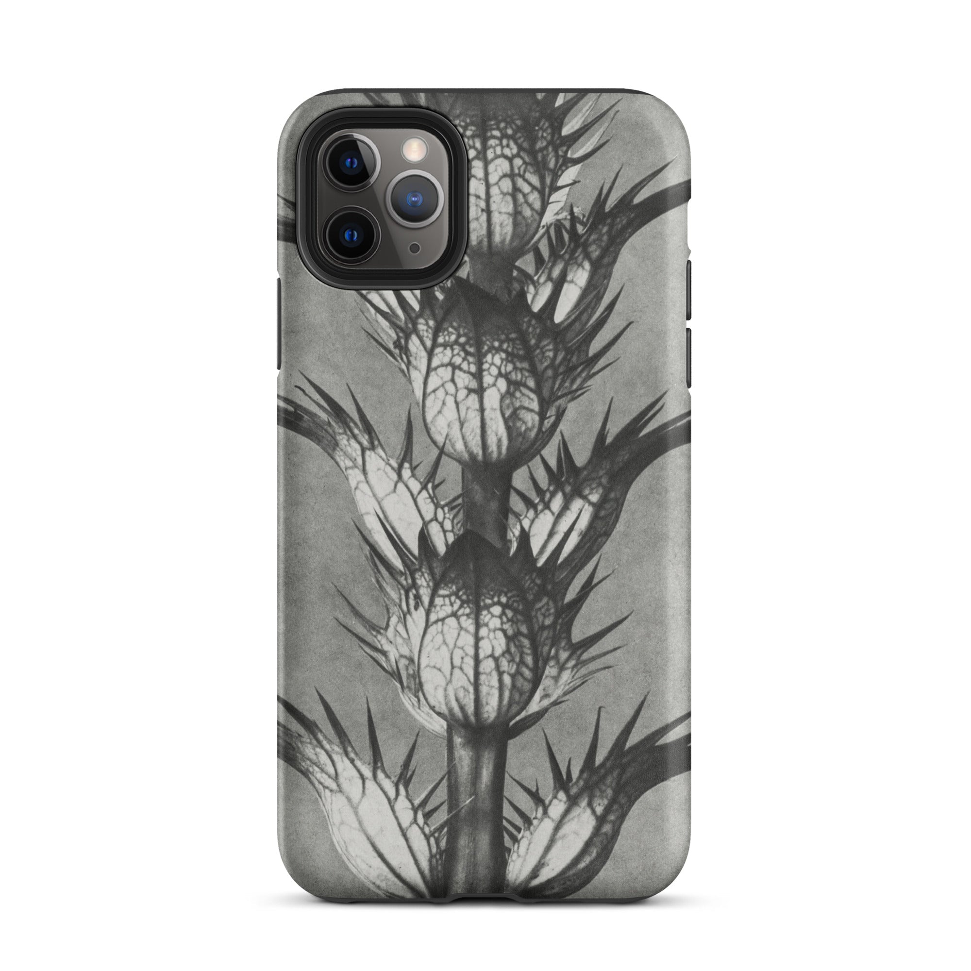 Acanthus Mollis (bear’s Breeches) Karl Blossfeldt Iphone Case, 11 Pro Max / Matte, Black White Thistle Patterned Phone Case
