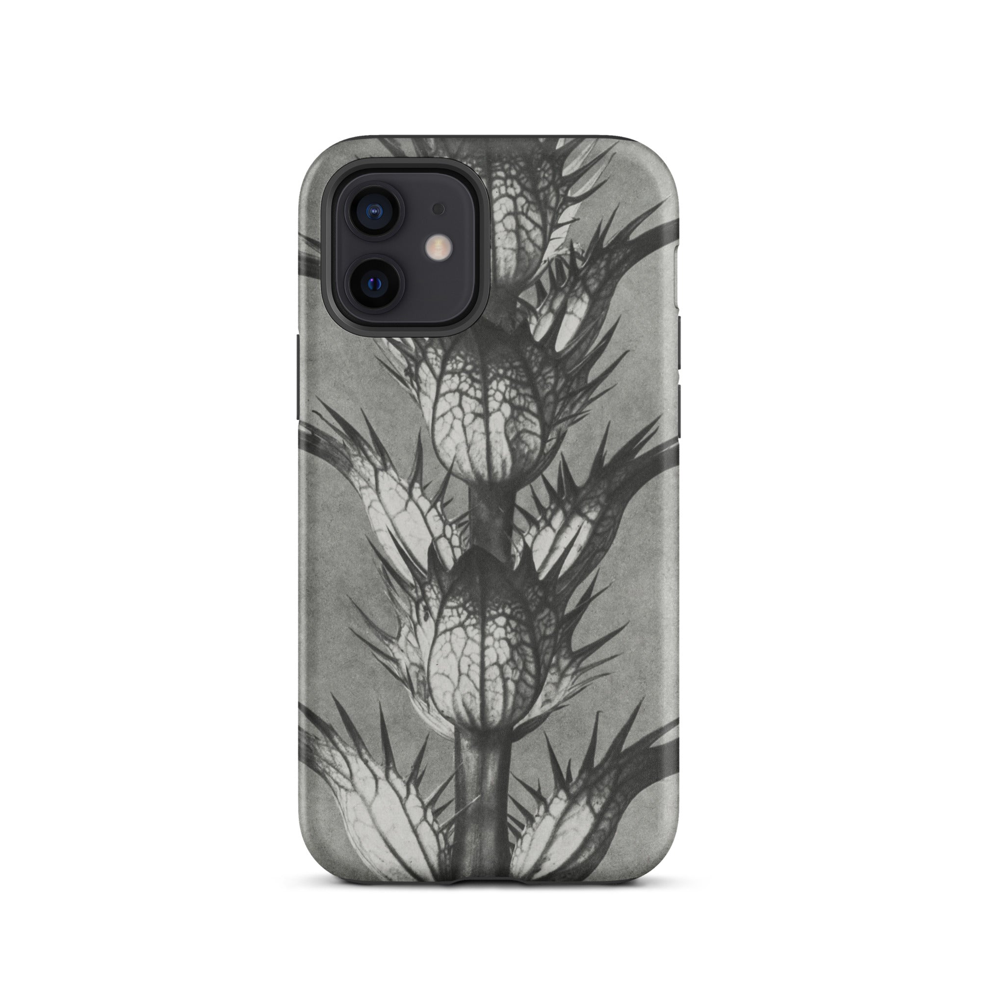 Acanthus Mollis (bear’s Breeches) Karl Blossfeldt Iphone Case, 12 / Matte, Gray Phone Case Thistle Design