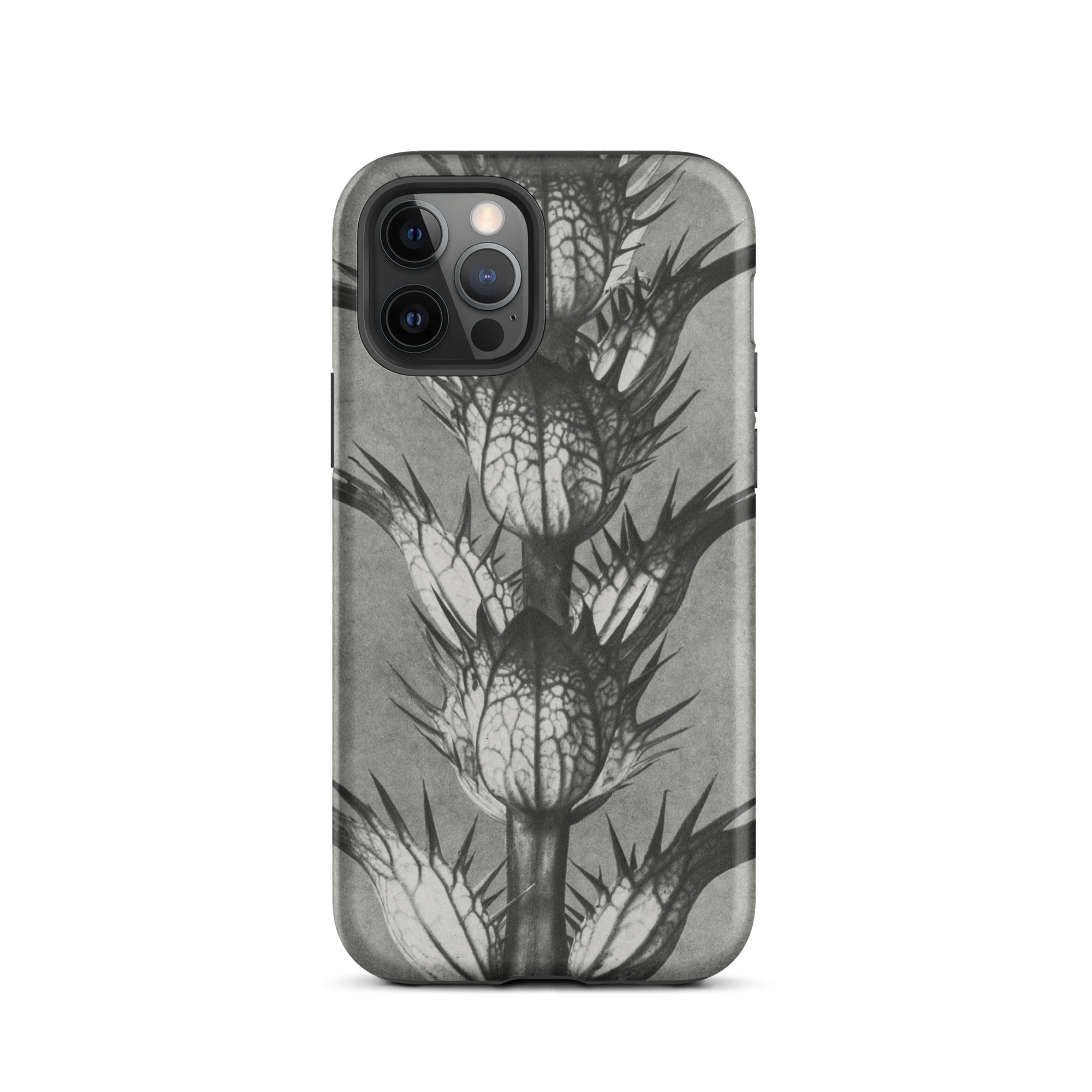 Acanthus Mollis (bear’s Breeches) Karl Blossfeldt Iphone Case, 12 Pro / Matte, Gray Phone Case Thistle Design