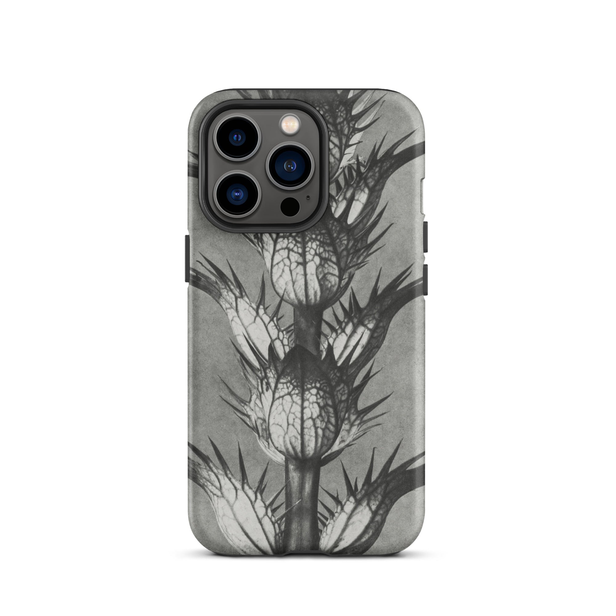 Acanthus Mollis (bear’s Breeches) Karl Blossfeldt Iphone Case, 13 Pro / Matte, Gray Phone Case Thistle Design