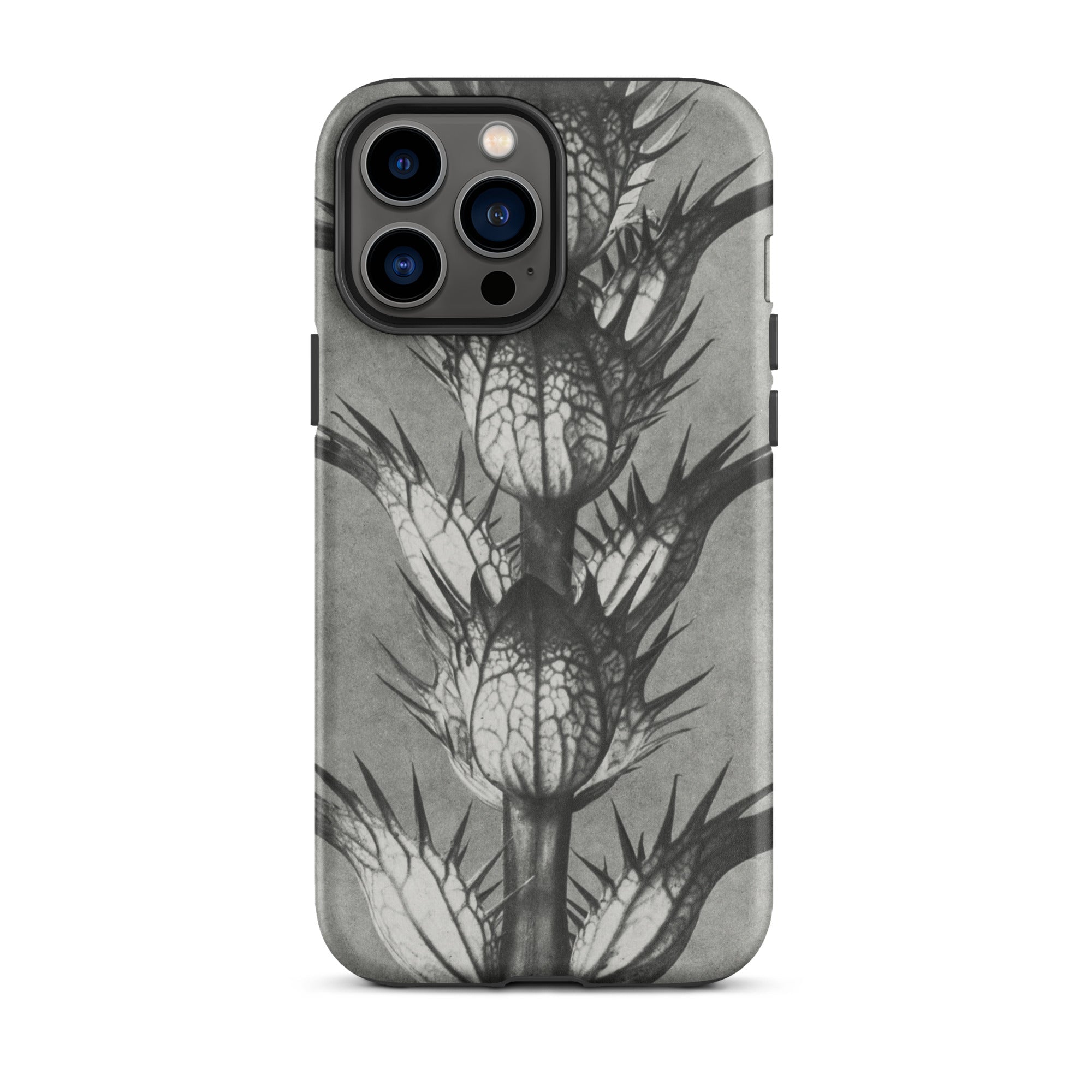 Acanthus Mollis (bear’s Breeches) Karl Blossfeldt Iphone Case, 13 Pro Max / Matte, Gray Phone Case Thistle Design