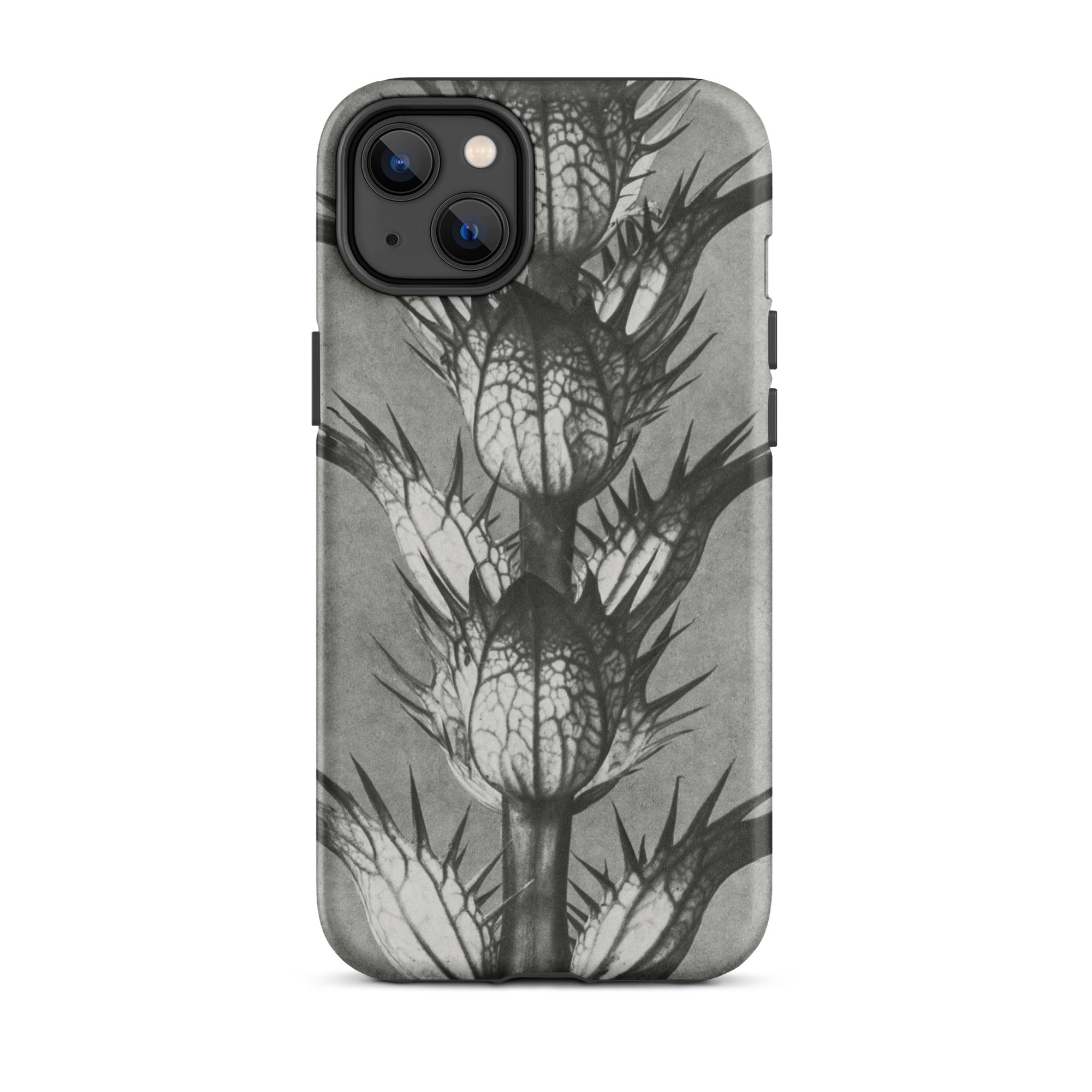 Acanthus Mollis (bear’s Breeches) Karl Blossfeldt Iphone Case, 14 Pro / Matte, Gray Phone Case Thistle Design