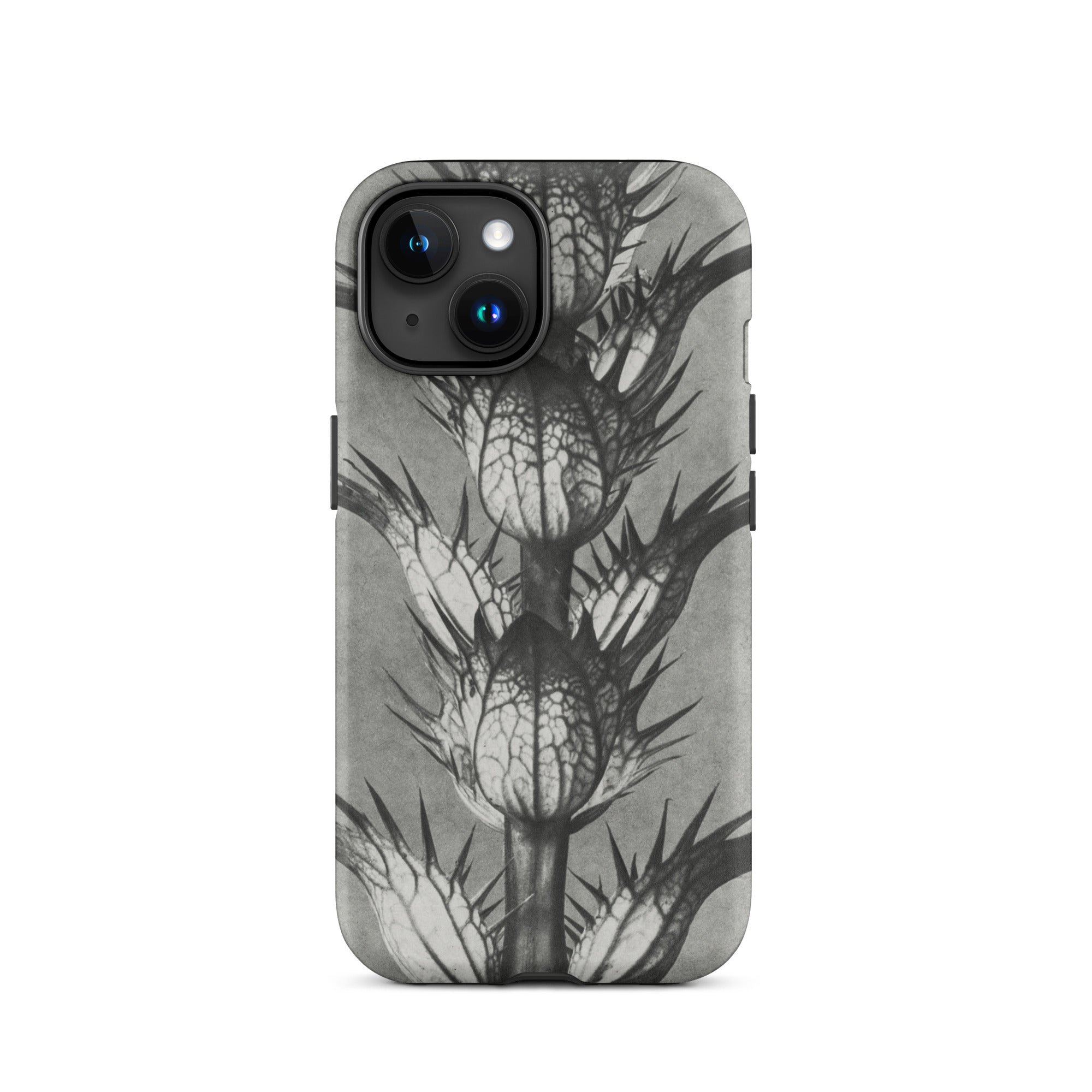 Acanthus Mollis (bear’s Breeches) Karl Blossfeldt Iphone Case, 15 / Matte, Gray Phone Case Thistle Design
