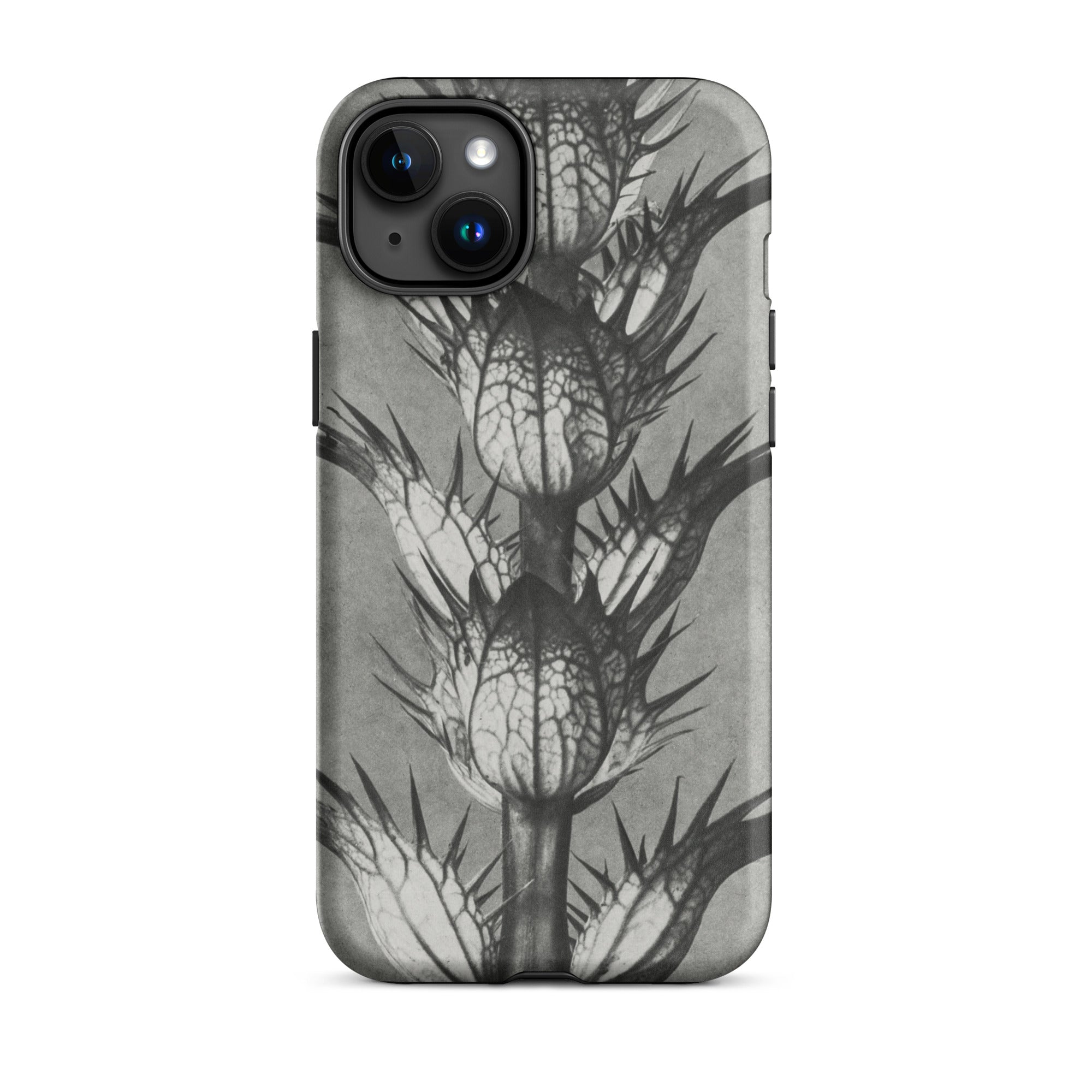 Acanthus Mollis (bear’s Breeches) Karl Blossfeldt Iphone Case, 15 Plus / Matte, Thistle Patterned Phone Case