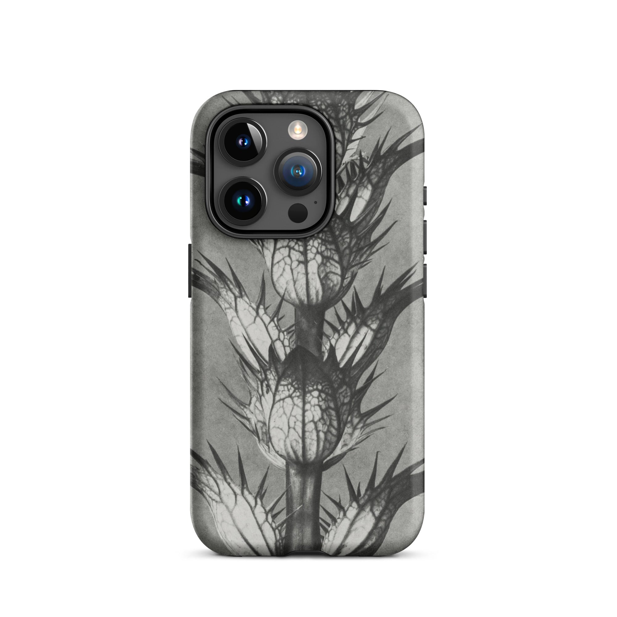Acanthus Mollis (bear’s Breeches) Karl Blossfeldt Iphone Case, 15 Pro / Matte, Gray Phone Case Thistle Design