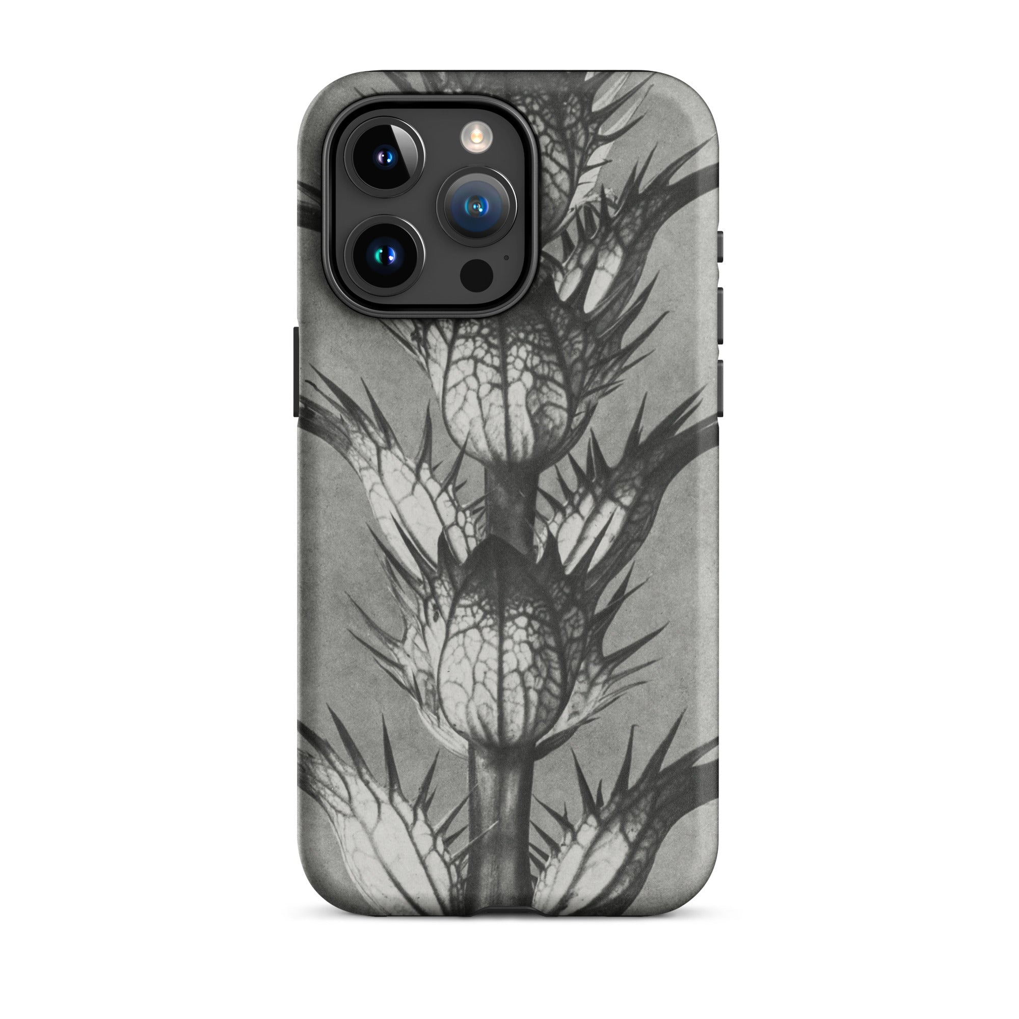 Acanthus Mollis (bear’s Breeches) Karl Blossfeldt Iphone Case, 15 Pro Max / Matte, Gray Phone Case Thistle Design