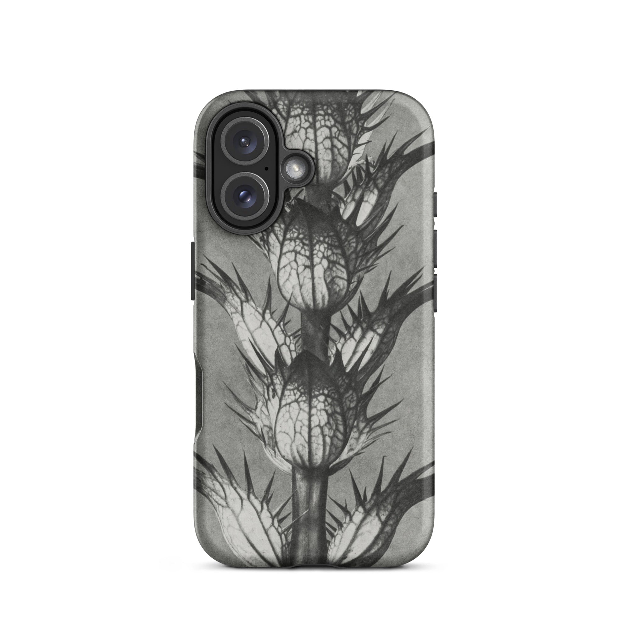 Acanthus Mollis (bear’s Breeches) Karl Blossfeldt Iphone Case, 16 / Matte, Black White Thistle Phone Case