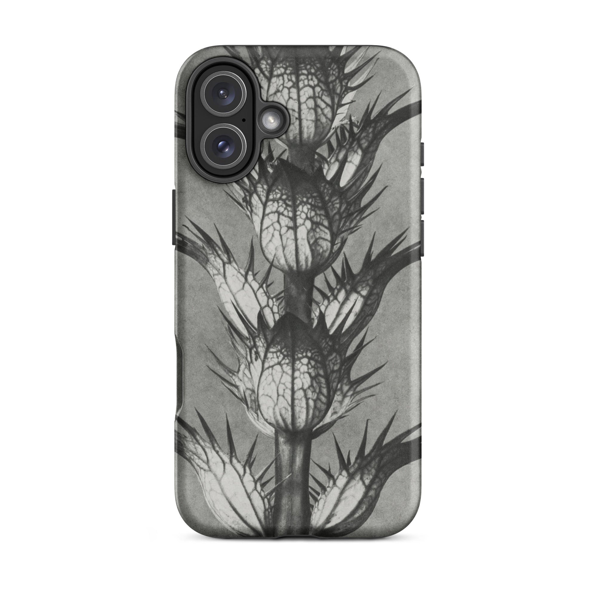 Acanthus Mollis (bear’s Breeches) Karl Blossfeldt Iphone Case, 16 Plus / Matte, Gray Phone Case Thistle Design