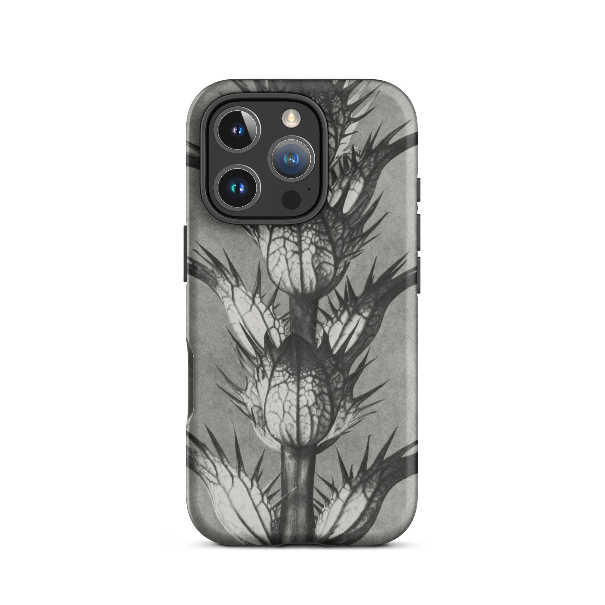 Acanthus Mollis (bear’s Breeches) Karl Blossfeldt Iphone Case, 16 Pro / Matte, Gray Phone Case Thistle Design
