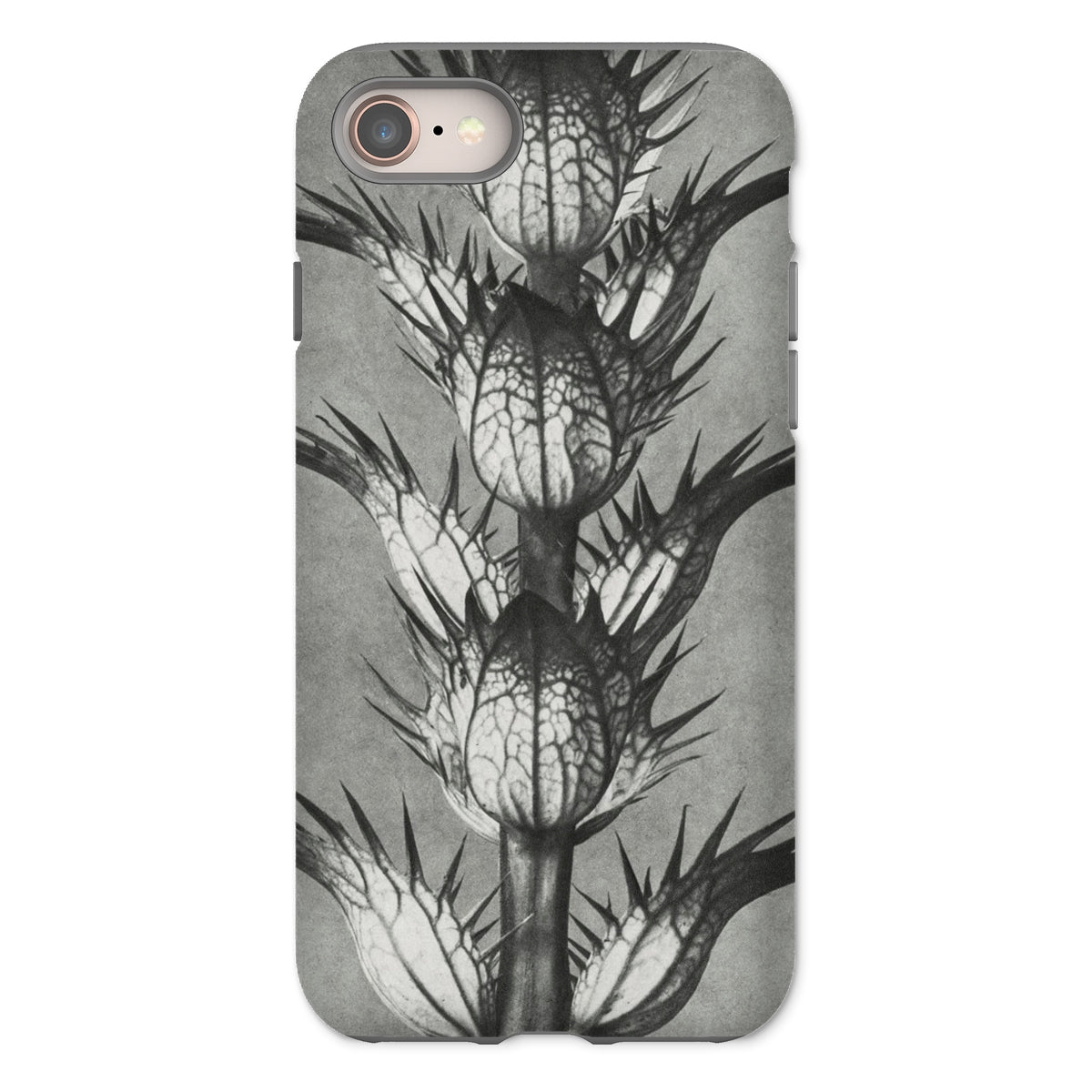 Acanthus Mollis (bear’s Breeches) Karl Blossfeldt Iphone Case, 8 / Matte, Thistle Patterned Phone Case