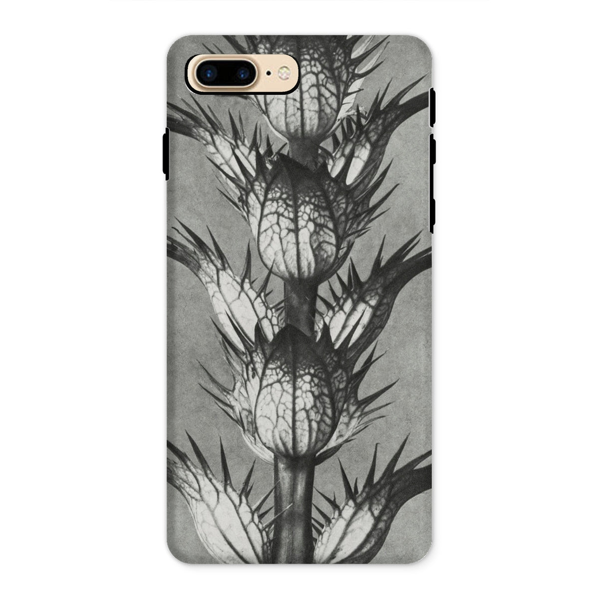 Acanthus Mollis (bear’s Breeches) Karl Blossfeldt Iphone Case, 8 Plus / Matte, Thistle Patterned Phone Case