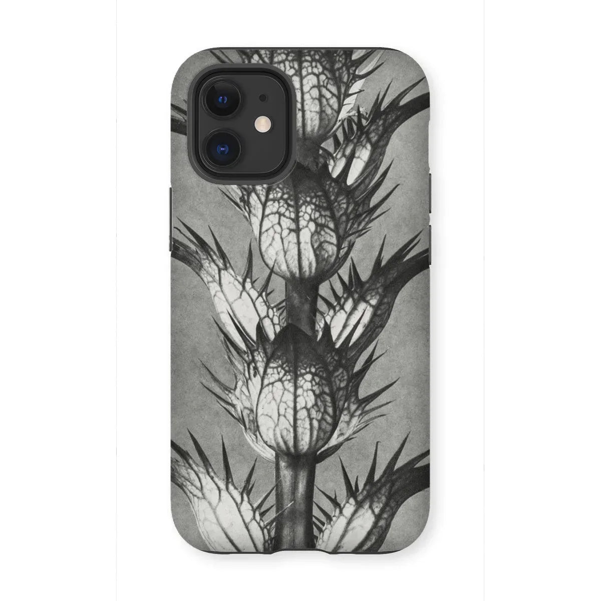 Acanthus Mollis (bear’s Breeches) - Karl Blossfeldt Iphone Case - 12 Mini / Matte