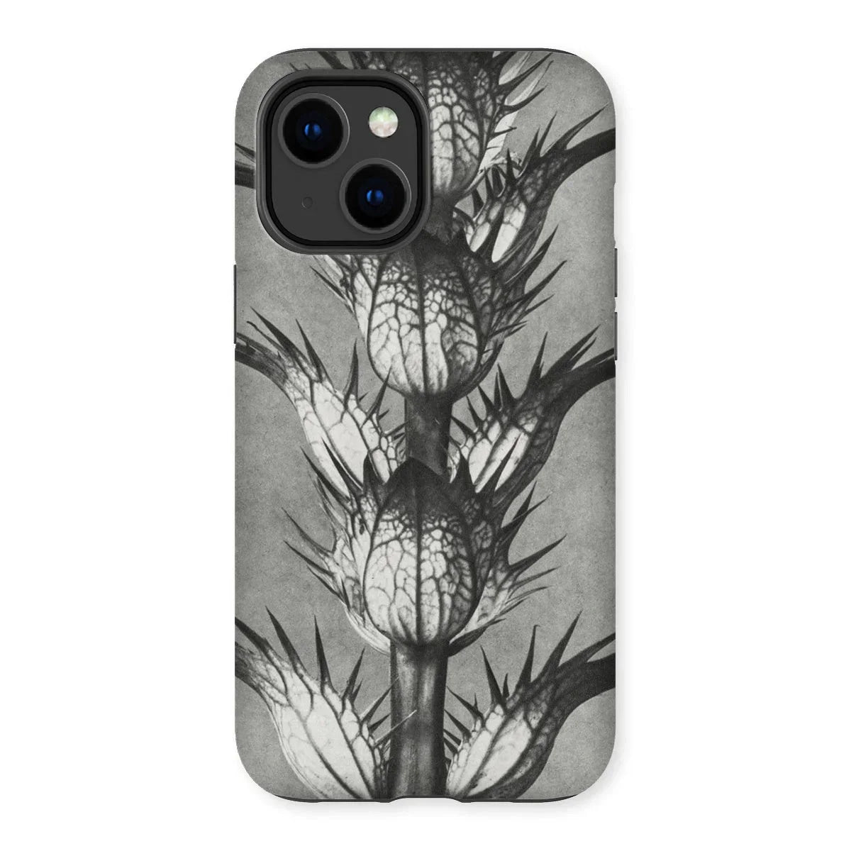 Acanthus Mollis (bear’s Breeches) - Karl Blossfeldt Iphone Case - 14 Plus / Matte