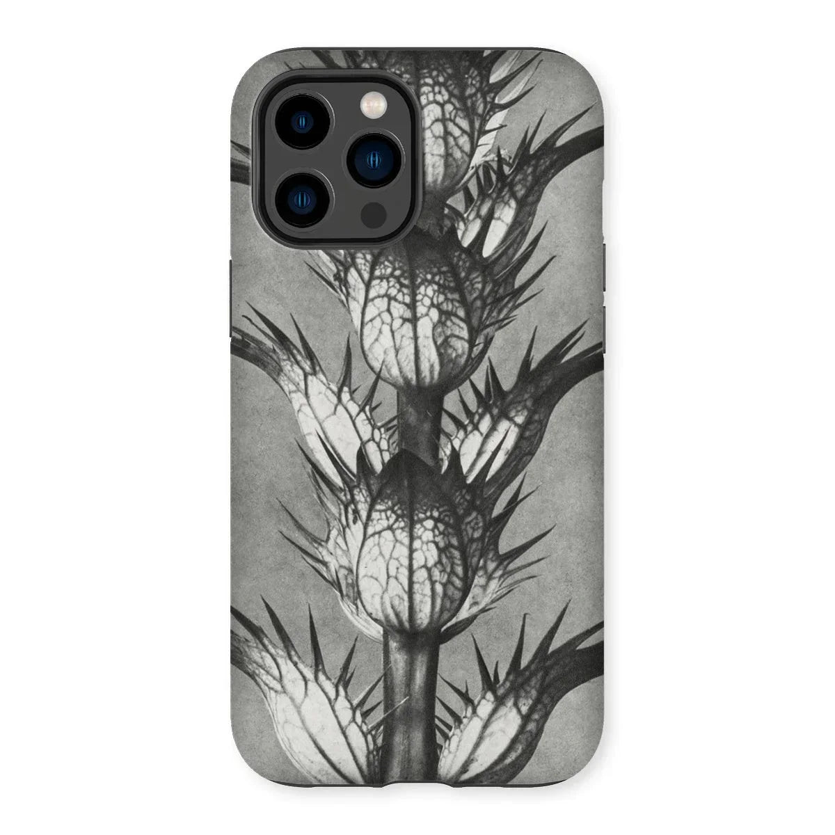 Acanthus Mollis (bear’s Breeches) - Karl Blossfeldt Iphone Case - 14 Pro Max / Matte