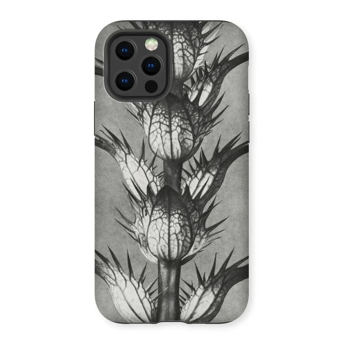 Acanthus Mollis (bear’s Breeches) - Karl Blossfeldt Iphone Case - 12 Pro / Matte