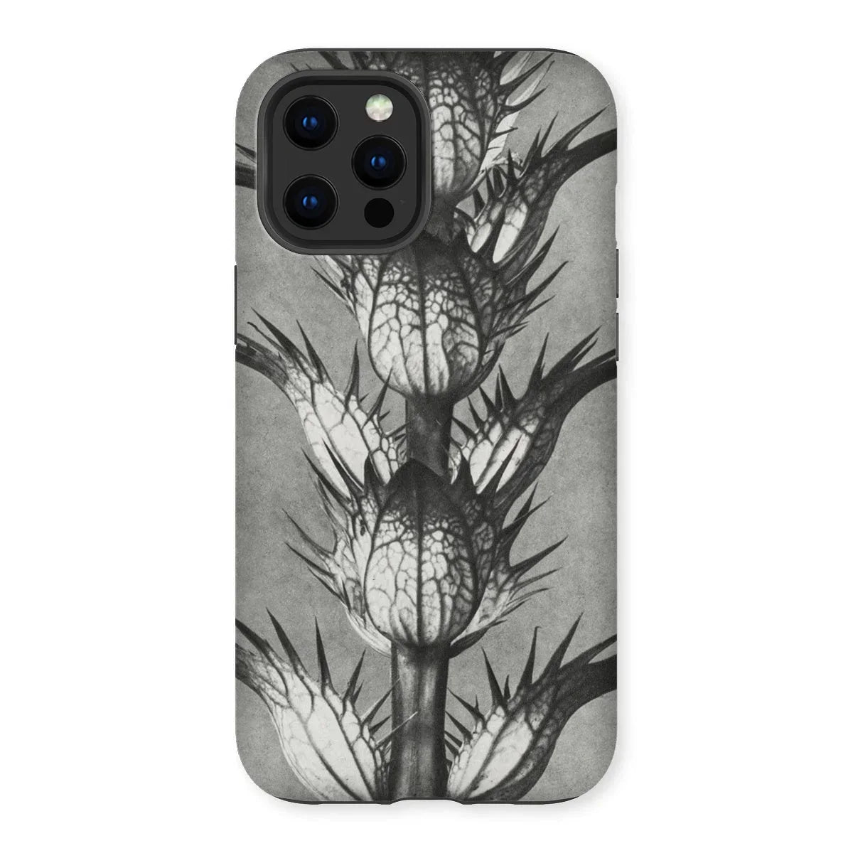 Acanthus Mollis (bear’s Breeches) - Karl Blossfeldt Iphone Case - 13 Pro Max / Matte