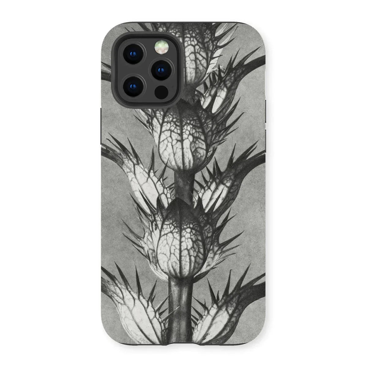 Acanthus Mollis (bear’s Breeches) - Karl Blossfeldt Iphone Case - 13 Pro / Matte