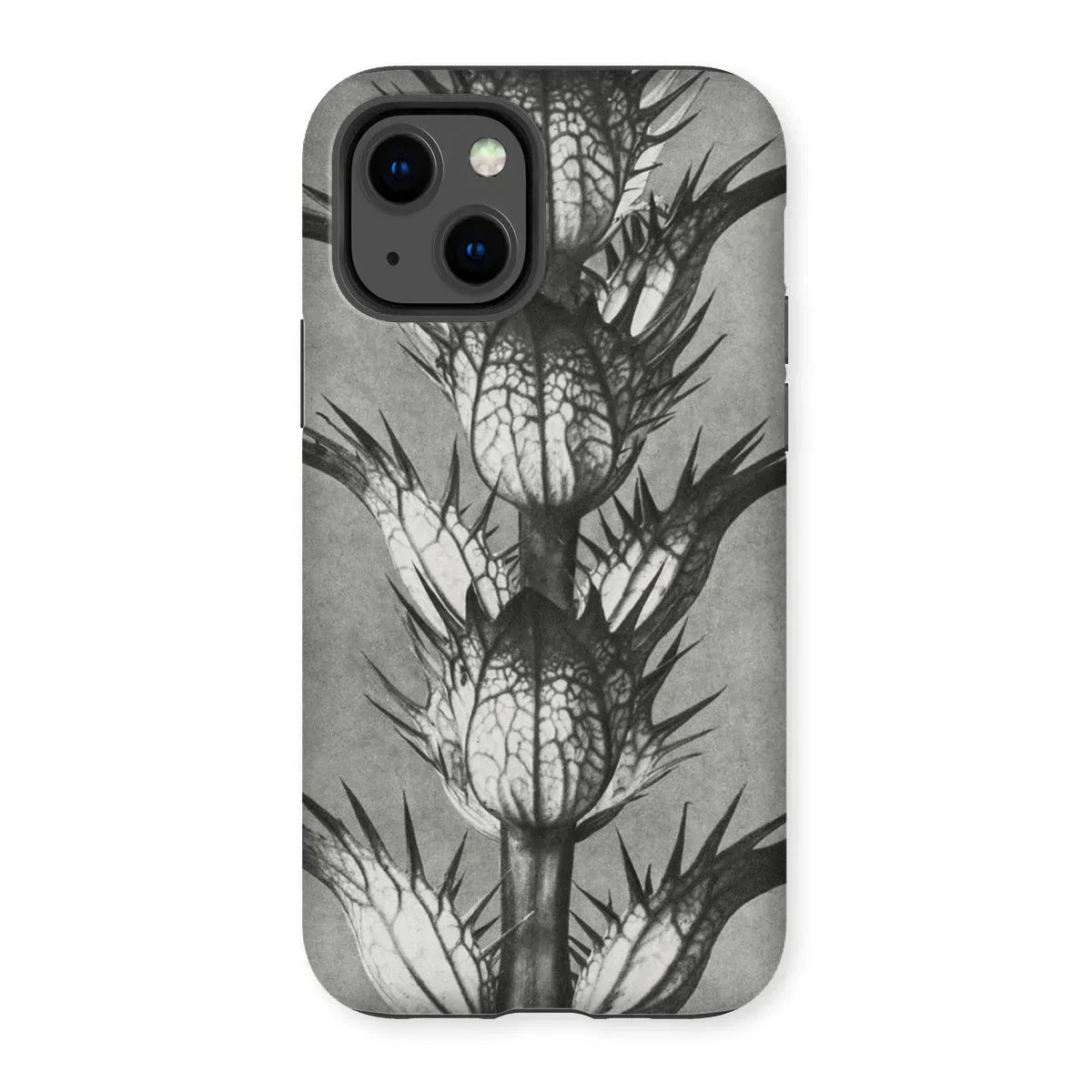 Acanthus Mollis (bear’s Breeches) - Karl Blossfeldt Iphone Case - 13 / Matte