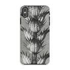 Acanthus Mollis (bear’s Breeches) - Karl Blossfeldt Iphone Case - Xs Max / Matte