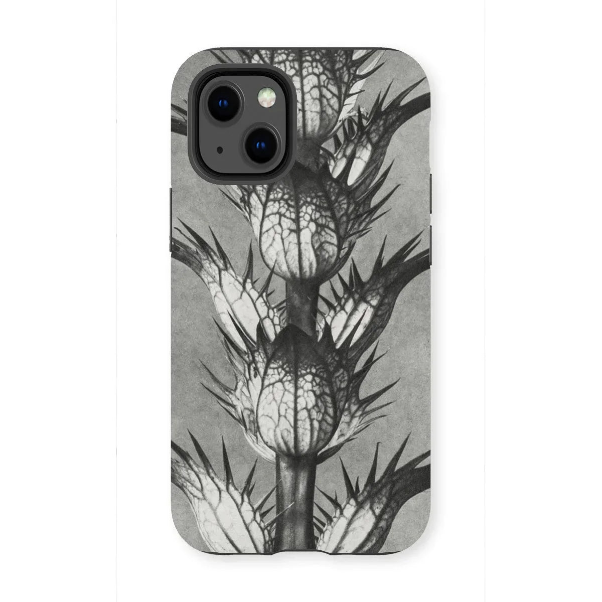 Acanthus Mollis (bear’s Breeches) - Karl Blossfeldt Iphone Case - 13 Mini / Matte