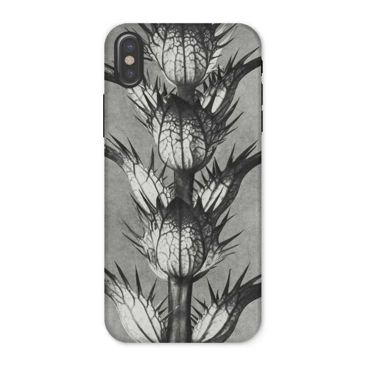 Acanthus Mollis (bear’s Breeches) - Karl Blossfeldt Iphone Case - x / Matte