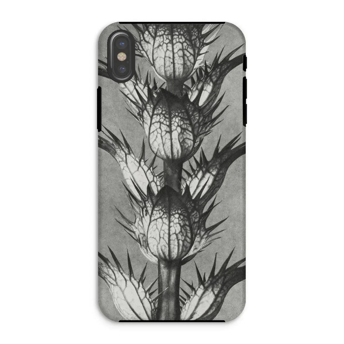 Acanthus Mollis (bear’s Breeches) - Karl Blossfeldt Iphone Case - Xs / Matte