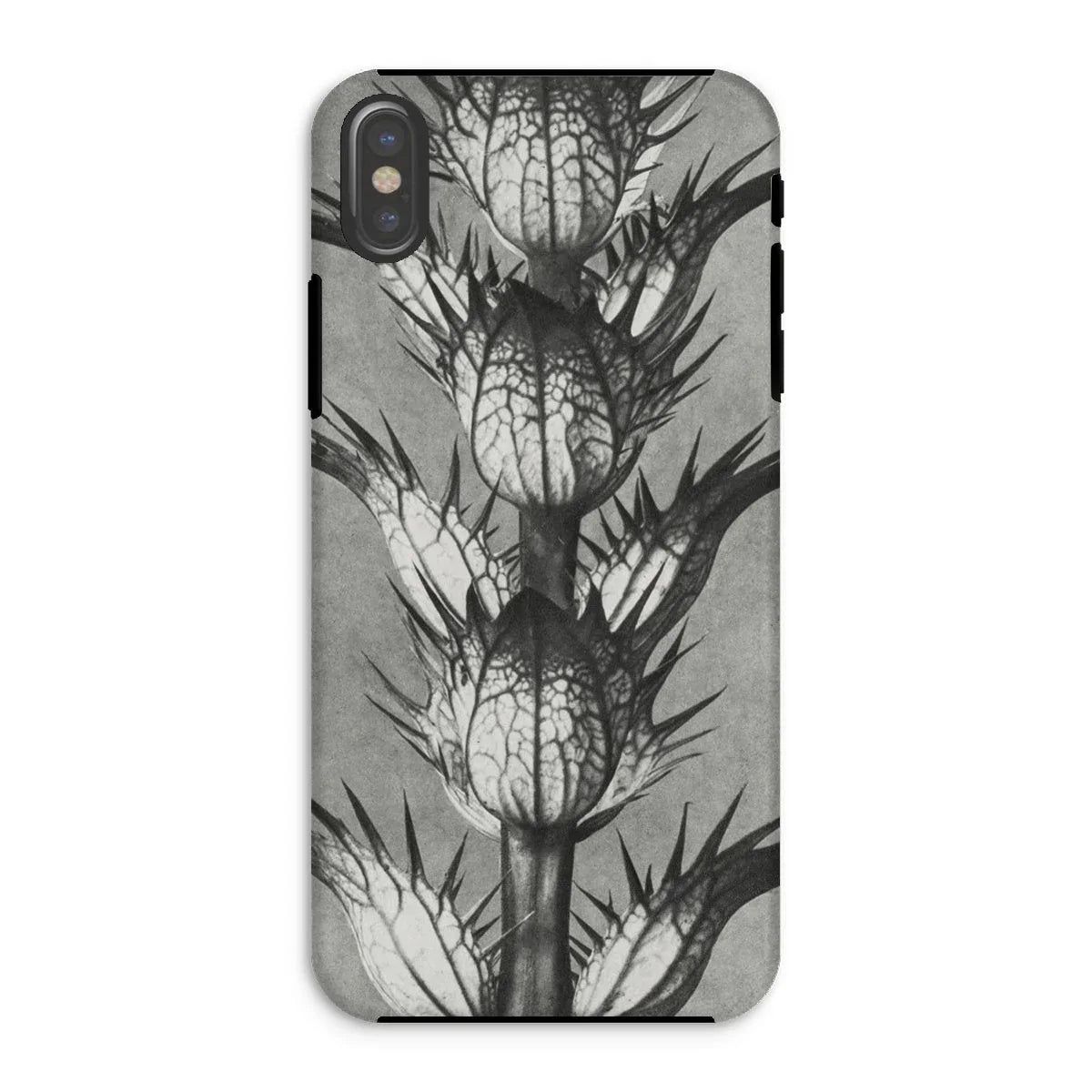 Acanthus Mollis (bear’s Breeches) - Karl Blossfeldt Iphone Case Xs / Matte Mobile Phone Cases