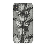 Acanthus Mollis (bear’s Breeches) - Karl Blossfeldt Iphone Case, x / Matte, Thistle-patterned Phone Case