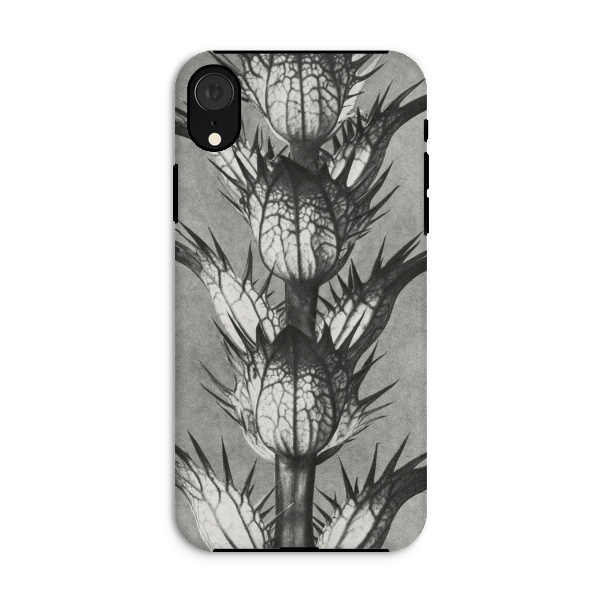Acanthus Mollis (bear’s Breeches) Karl Blossfeldt Iphone Case, Xr / Matte, Monochrome Phone Case Thistle Design
