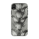 Acanthus Mollis (bear’s Breeches) - Karl Blossfeldt Iphone Case, Xr / Matte, Monochrome Phone Case Thistle Design