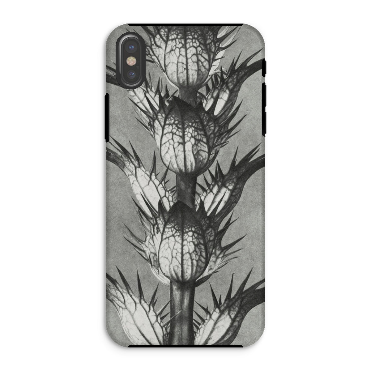 Acanthus Mollis (bear’s Breeches) Karl Blossfeldt Iphone Case, Xs / Matte, Thistle Patterned Phone Case