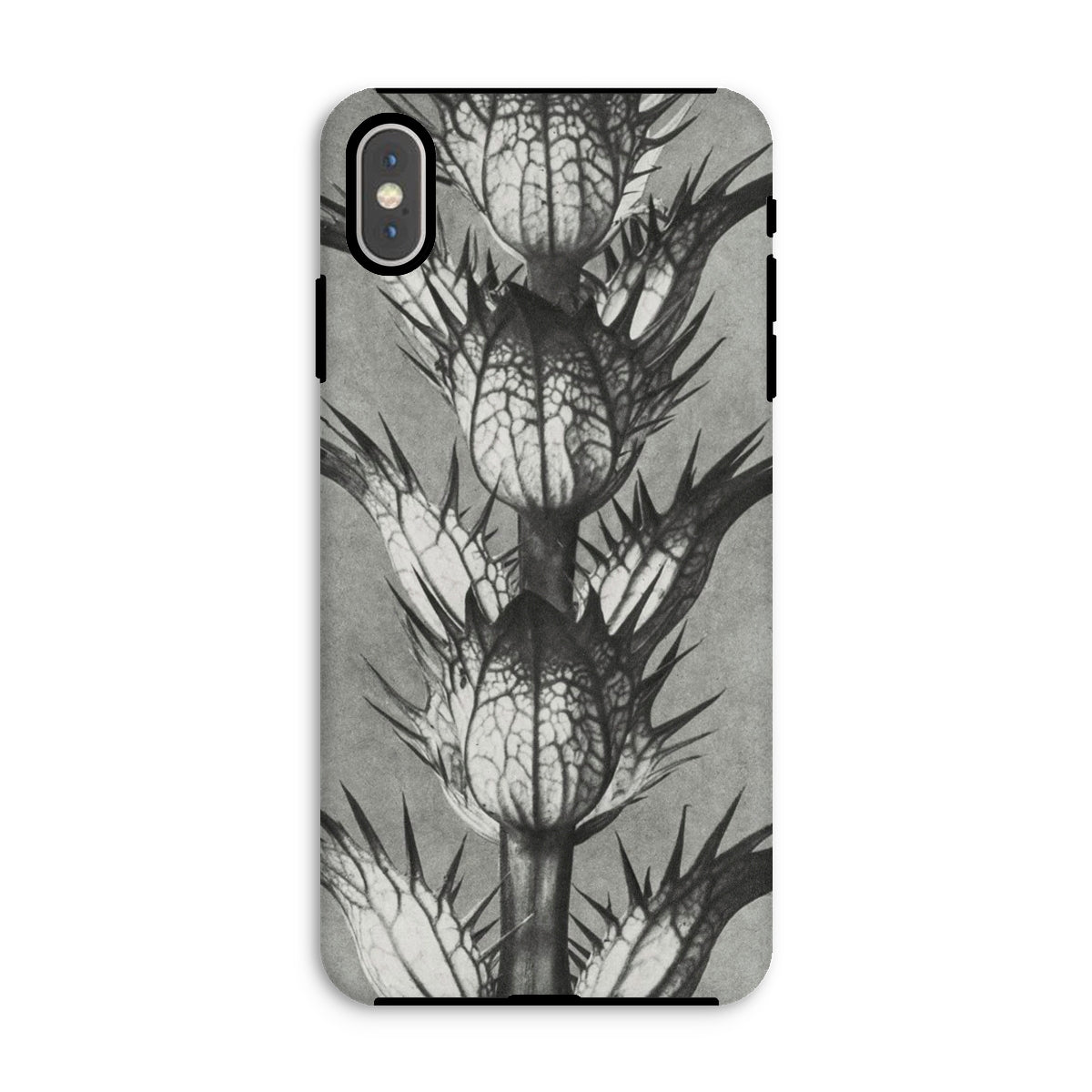 Acanthus Mollis (bear’s Breeches) Karl Blossfeldt Iphone Case, Xs Max / Matte, Thistle Patterned Phone Case