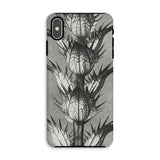 Acanthus Mollis (bear’s Breeches) - Karl Blossfeldt Iphone Case, Xs Max / Matte, Thistle-patterned Phone Case
