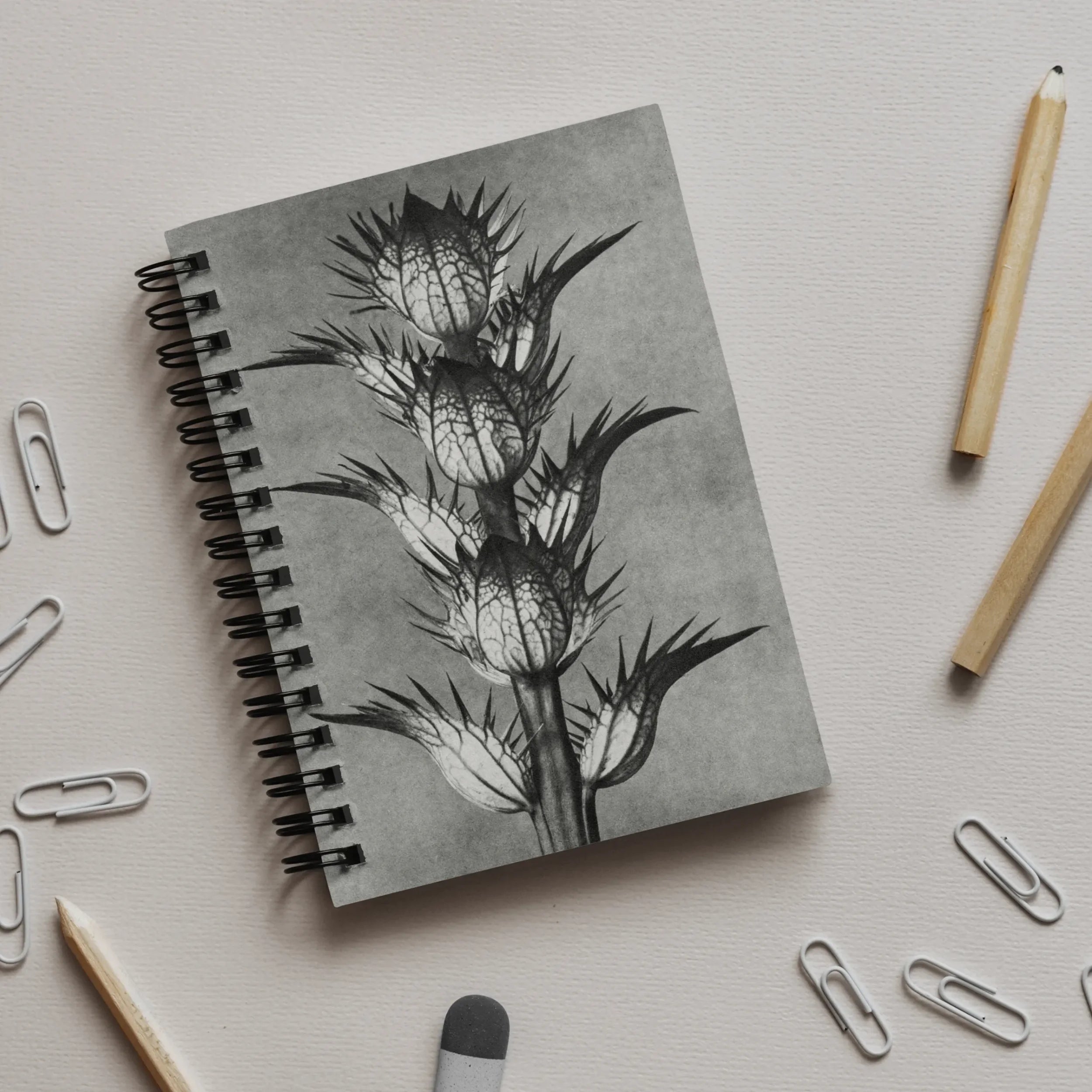 Acanthus Mollis (bear’s Breeches) - Karl Blossfeldt Notebook A5 / Graph Notebooks & Notepads