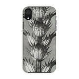 Acanthus Mollis (bear’s Breeches) - Karl Blossfeldt Phone Case Iphone Xr / Matte Monochrome Phone Case Thistle Design Karl Blossfeldt,