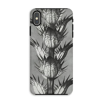 Acanthus Mollis (bear’s Breeches) - Karl Blossfeldt Phone Case Iphone Xs Max / Matte Thistle-patterned Phone Case Karl Blossfeldt, Bear’s